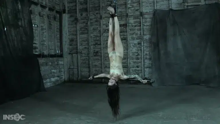 Demonic Desires (Infernal Restraints)