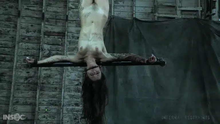Demonic Desires (Infernal Restraints)