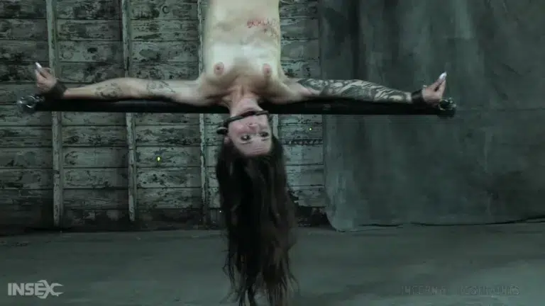 Demonic Desires (Infernal Restraints)