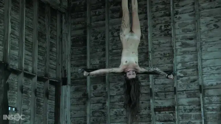 Demonic Desires (Infernal Restraints)