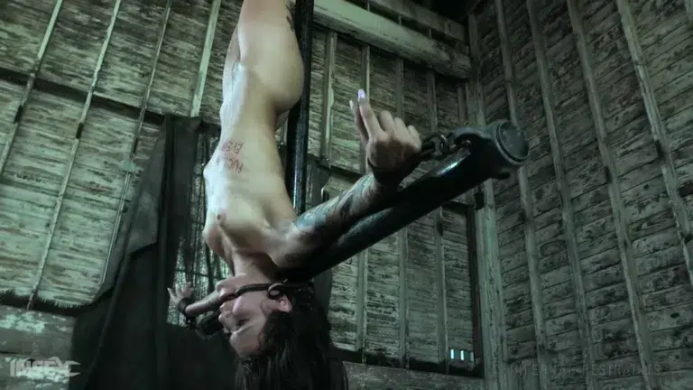 Demonic Desires (Infernal Restraints)