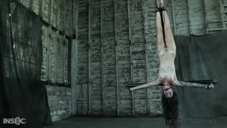 Demonic Desires (Infernal Restraints)