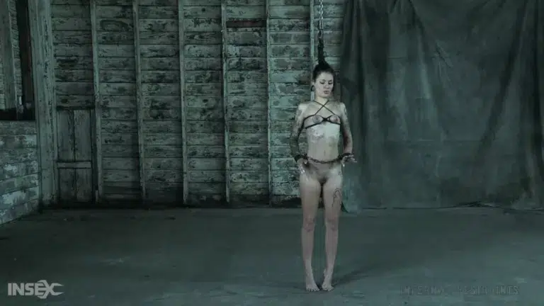 Demonic Desires (Infernal Restraints)