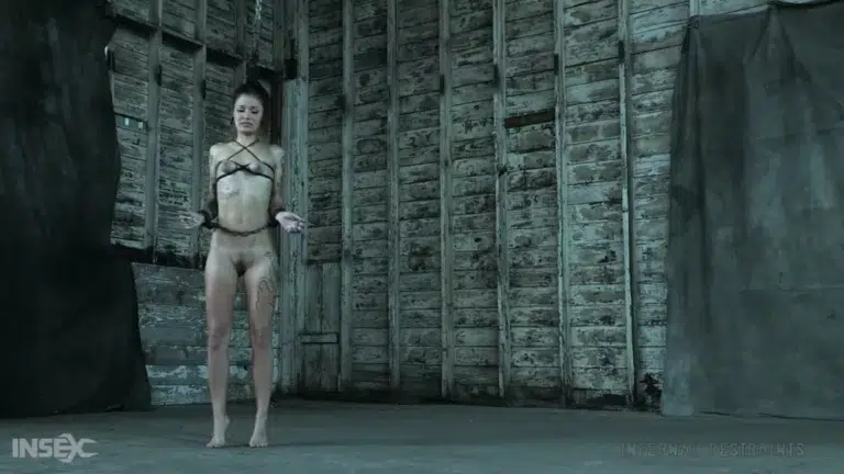 Demonic Desires (Infernal Restraints)