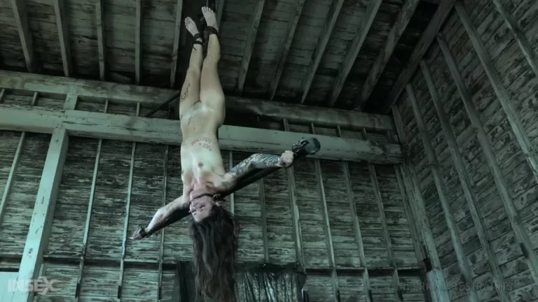 Demonic Desires (Infernal Restraints)