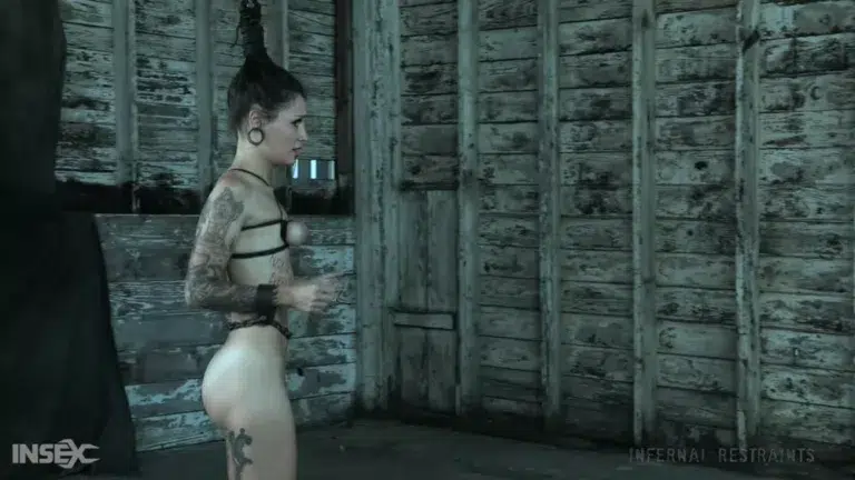 Demonic Desires (Infernal Restraints)