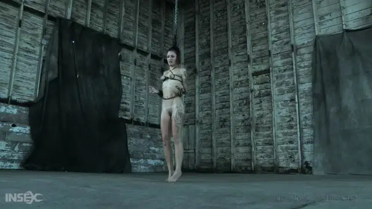 Demonic Desires (Infernal Restraints)