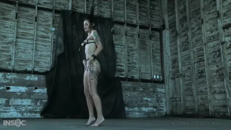 Demonic Desires (Infernal Restraints)