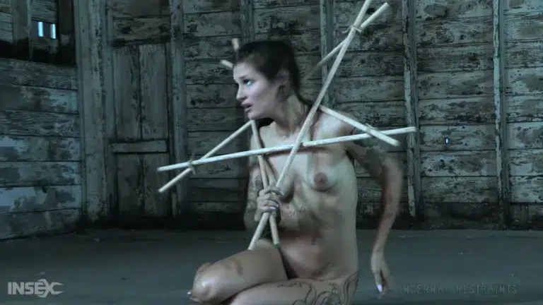 Demonic Desires (Infernal Restraints)