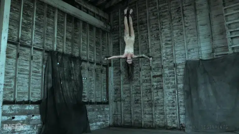 Demonic Desires (Infernal Restraints)