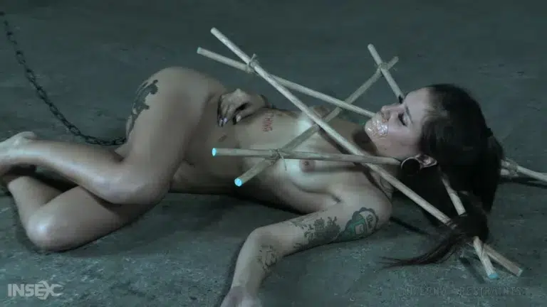 Demonic Desires (Infernal Restraints)