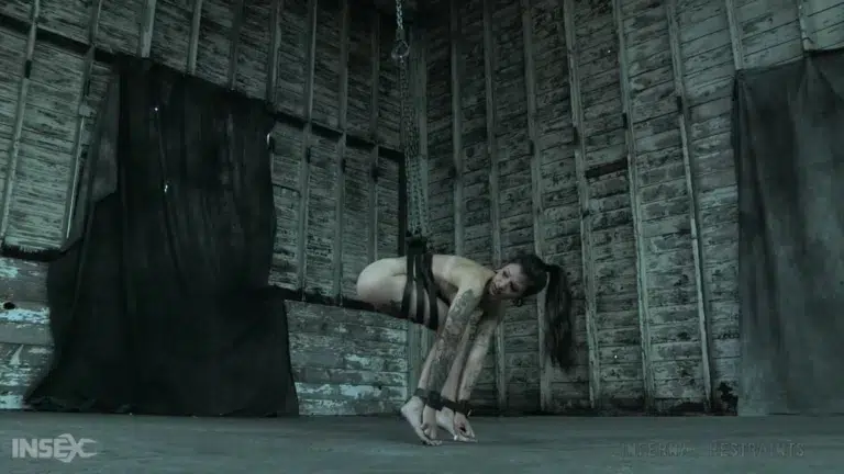 Demonic Desires (Infernal Restraints)
