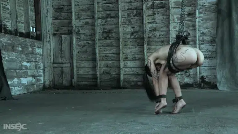 Demonic Desires (Infernal Restraints)