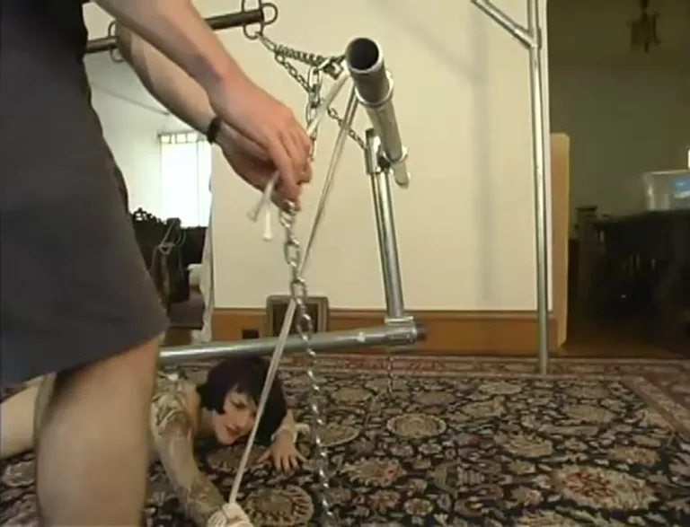 Ambyr (Hogtied)