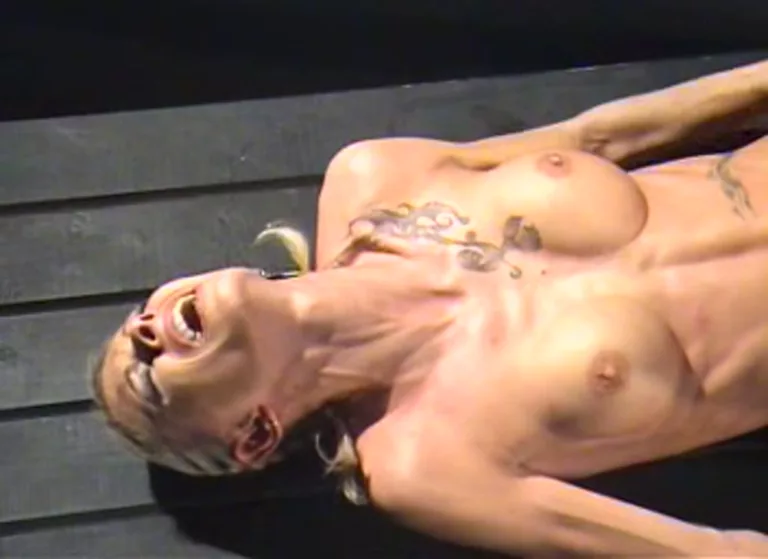 The Auction (Elite Pain)
