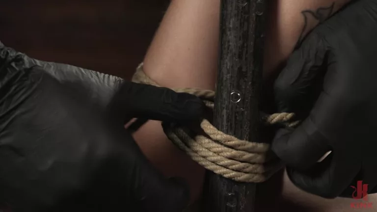 Young Slut Learns the Ropes: Raven Lane (Hogtied)