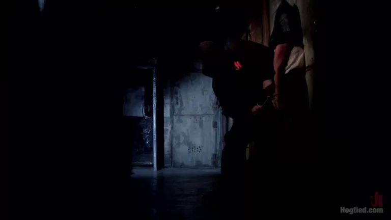 Wrong Place at the Wrong Time: Dark Dungeon (Hogtied)