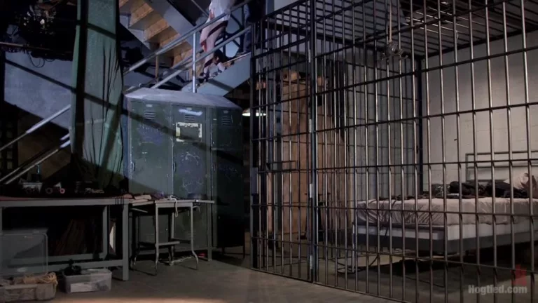 Wrong Place at the Wrong Time: Dark Dungeon (Hogtied)