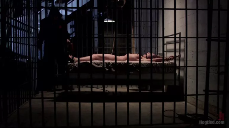 Wrong Place at the Wrong Time: Dark Dungeon (Hogtied)