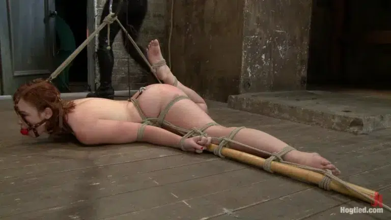 Jodi Taylor: Eager Slut Elaborately Bound, Caned, Zapped and Fucked! (Hogtied)