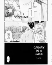 54