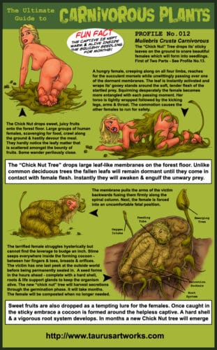taurus_FG1_plant12_PROFILE