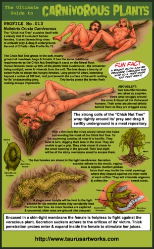 taurus_FG2_plant13_PROFILE