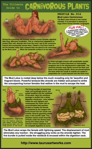 taurus_FG2_plant14_PROFILE