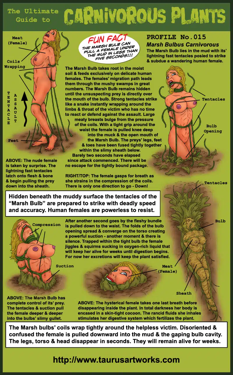 taurus_FG2_plant15_PROFILE