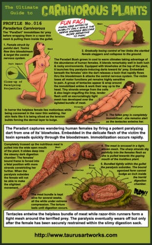 taurus_FG2_plant16_PROFILE