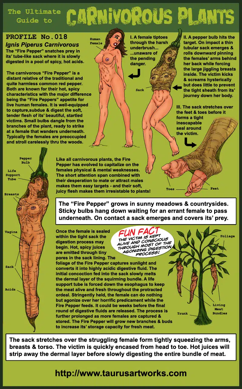 taurus_FG2_plant18_PROFILE