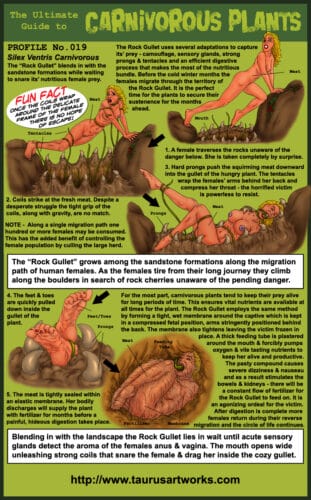 taurus_FG2_plant19_PROFILE