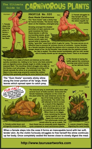 taurus_FG2_plant20_PROFILE