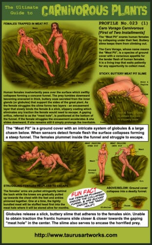 taurus_FG2_plant23a_PROFILE