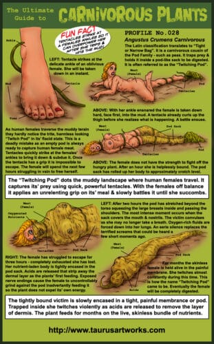 taurus_FG3_plant28_PROFILE