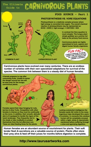 taurus_FG3_plant33_PROFILE