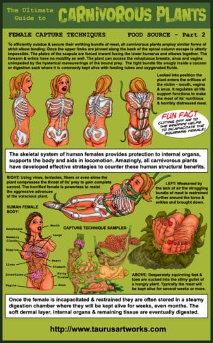 taurus_FG3_plant34_PROFILE