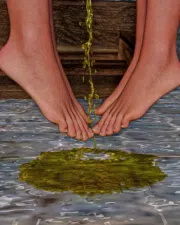 43