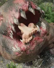 Dont_wake_the_bear_91