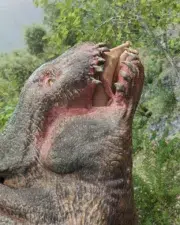 Dont_wake_the_bear_92