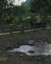 Country-Life-and-Death-005