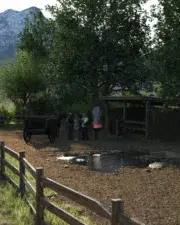 Country-Life-and-Death-028