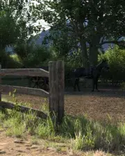 Country-Life-and-Death-039