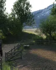 Country-Life-and-Death-047