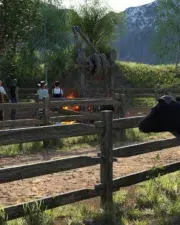 Country-Life-and-Death-086