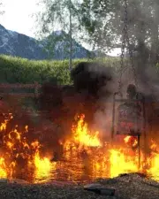 Country-Life-and-Death-094