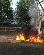 Country-Life-and-Death-095