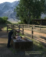 Country-Life-and-Death-121