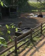 Country-Life-and-Death-124