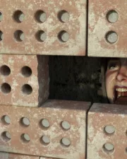 Bricked-In-099